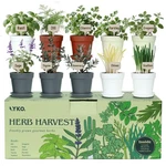 10 Indoor Herb Garden Kit, 33PCS Complete Kitchen Starter Set Including 4-C. Fixed Price $65.98.
