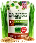 Home Grown Hard Red Winter Wheatgrass Seeds 12,000+ Bulk 1.5 Lb Heirloom Nong.... Fixed Price $23.56.