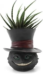 Unique Black Cat Head Little Planter Pot, Cute Succulent Indoor Flower Funny. Fixed Price $18.88.