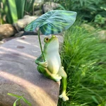High-quality Resin Frog Statue Whimsical Umbrella Design For All Occasions. Fixed Price $41.99.