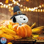 Productworks Peanuts Pumkin Press-in Icon Metal Stake Halloween Harvest Decor. Fixed Price $34.99.