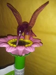Purple Hummingbird Pink Flower Solar Garden Lighting Stakes 10" Set Of 2. Fixed Price $11.00.