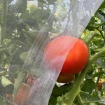 Garden Mesh Netting 10'X33' Plants Covers Ultra Fine Bug Keep Trees Veg.... Fixed Price $26.84.