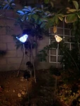 2 Set Bird Acrylic Solar Garden Yard Patio Stake Light Led Changing. Fixed Price $23.99.
