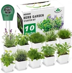 Garden Indoor Starter - 10 Variety Herbs Kitchen Window. Fixed Price $46.14.