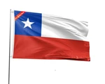 Double Sided Flag 3X5FT Chilean National Polyester - Vivid & Durable. Fixed Price $41.64.