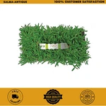 New Augustine Seville Grass Plugs (32-COUNT) Natural And Affordable Lawn. Fixed Price $65.99.