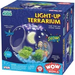 Glowing Terrarium Stem Kit With Seeds Led Lights And Educational Guide. Fixed Price $34.99.