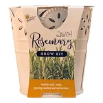 Buzzy Rosemary Grow Kit. Fixed Price $19.99.