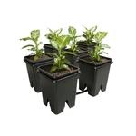Active Aqua GFOE3 Flow 2.0 6 Pot 5-GALLON Hydroponic Grow Expansion Kit. Fixed Price $147.99.
