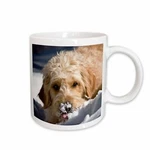 3DROSE Goldendoodle Dog - US32 ZMU0068 Zandria Muench Beraldo Mug. Fixed Price $17.99.