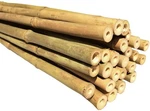 Natural Bamboo Poles Eco-friendly Plant Support Garden Stakes 6FT Long Diamet.... Fixed Price $79.76.