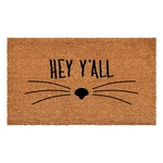 Calloway Mills Hey Y'all Whiskers Outdoor Doormat Tan Black 24X36. Fixed Price $96.24.