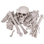 Kangaroo Halloween Skeleton Decor Bones 30 Pieces Bulk - Large, White. Fixed Price $47.23.