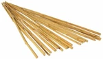 Plant Stakes Natural Bamboo Tomato Climbing Sticks Shrubs Support By Hydrofarm. Fixed Price $74.02.