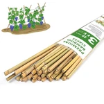 Plant STAKES,3FT Longer Sturdy Natural Bamboo Garden Stakes,gaginang 25PCS Ba.... Fixed Price $30.74.