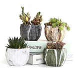 Sun-e Modern Style Marbling Ceramic Flower Succulent/cactus Planter. Fixed Price $28.56.