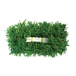 Augustine Floratam Grass Plugs (16-COUNT) Natural, Affordable Lawn Improvemen. Fixed Price $58.65.