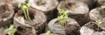 Peat Pellets 30MM Jiffy Fast Ship LOTS-10,25,50,75,100,200 Growing Seed Starting. Fixed Price $259.94.
