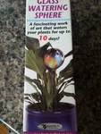 Glass Plant Watering Sphere Handy Trends Brand Cobalt Blue New Box Use 10 Day. Fixed Price $7.99.
