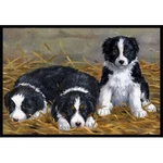 Carolines Treasures ASA2196MAT Border Collie Puppies Indoor Outdoor Mat- 1.... Fixed Price $33.69.