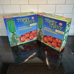 Lot Of 2 Topsy Turvy Upside Down Tomato Planter As Seen On Tv Hanging New Nib. Fixed Price $37.97.