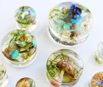Twinkling Mushroom Plug Acrylic Solid Saddle Ear Tunnels Double Flare Resin Pair. Fixed Price $43.00.