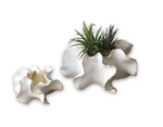 Kalalou Ceramic Shell Vase Pot And Sea Flower Set Of 2. Fixed Price $69.95.