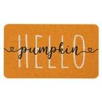 Mloabuc Fall Decorative Door Mat 1'5" X 2'6" (rectangular), Hello Pumpkin. Fixed Price $18.54.