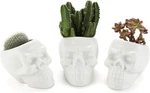 Modern Skull White Ceramic Succulent Planter Pot (3 Ct). Fixed Price $24.99.
