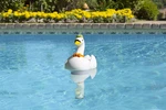 Poolmaster Swimming Chlorine Dispenser, Goose. Fixed Price $40.00.