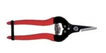 Ars 300SS Short Blade Fruit Pruner 170MM. Fixed Price $10.00.