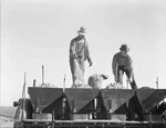 Loading Bins Of Potato Planter With Fertilizer Seed From Trailer A- Old Photo. Fixed Price $6.52.