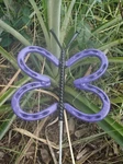 Purple Horseshoe Butterfly, Garden Art, Stake, Yard. Fixed Price $49.99.