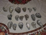 Lot Of 18 Oyster Shells For Arts Crafts, 2-3.5 " Decopage, Decoration, Landscape. Fixed Price $5.00.