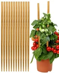 Strong Bamboo Sticks For PLANTS,18 Inch Tall Poles S.... Fixed Price $26.37.