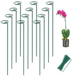 12 Pack Plant Stakes 16 Inch Support Sticks With 24. Fixed Price $19.02.