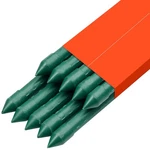 Uimoso Garden Stakes For Plants, 10 Pack 93.7 Inch Plastic-coated Metal Supports. Fixed Price $39.99.