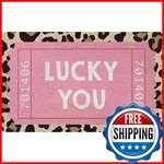 Snnder Trendy Retro Pink Leopard Doormat, Preppy Girly Indoor Outdoor. Fixed Price $31.94.