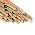 Gaginang Plant Stakes Natural Garden Bamboo Sticks For 18 Inches, Brown. Fixed Price $17.98.