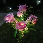 Solar Garden Lights Outdoor Waterproof Flower Led Stake Lamp Yard Decor. Fixed Price $13.99.