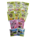 Lot Of 10 Makit Bakit Suncatcher Colorbok Animals Glowing Crafts. Fixed Price $54.99.