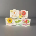 Lot Of 5 Buzzy Mini Terracotta Grow Kits - Diy Indoor Garden. Fixed Price $15.00.