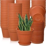 54 Pack Inch Pots Bulk Small Planter With Drainage Hole And Saucer Sm.... Fixed Price $52.00.