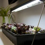 Ferry Morse Seed Starting Plant 22 Grow Light Stand T5 Bulb Fits 10X20 Tray. Fixed Price $39.70.