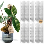 Thiccly V3 Growpole Medium 10 Pcs - Front Opening Plastic Moss Poles For Climbin. Fixed Price $62.50.