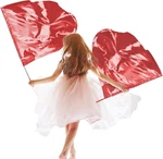 Pcs Set 32" Praise Dance Worship Flags With Scalable Rod For Kids Red. Fixed Price $24.04.