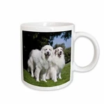 3DROSE Two Great Pyrenees Dogs In California - US05 ZMU0308 Zandria Muench Ber. Fixed Price $11.99.
