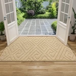 Arogan Washable Indoor Mat Entrance, Low Profile Entry Rugs For Inside Hous. Fixed Price $36.42.
