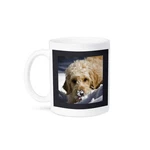 3DROSE, Goldendoodle Dog - US32 ZMU0068 Zandria Muench Beraldo, Mug. Fixed Price $11.97.